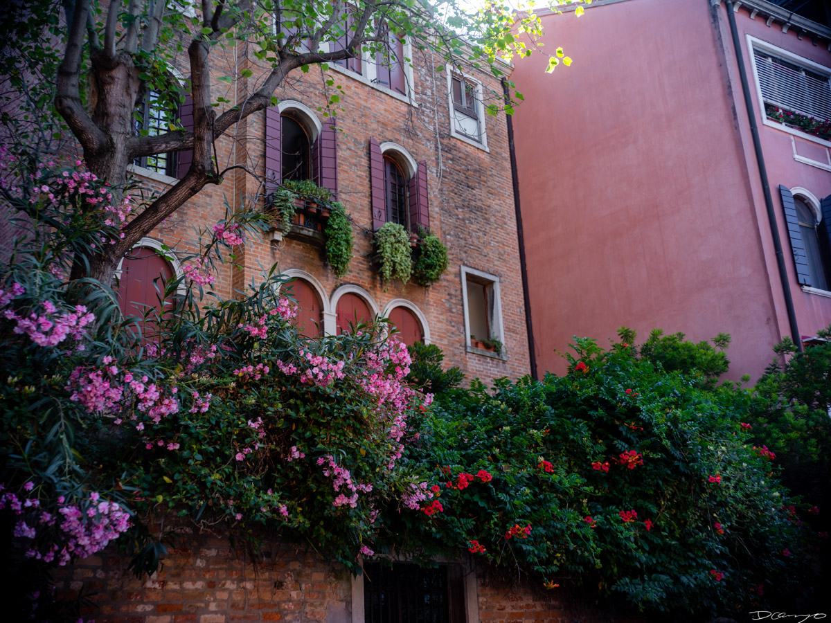 Photos from a trip through Italy in Summer of 2023. Locations include Rome, Florence, Tuscany, Castello di Bossi in Chianti, Siena, San Gimignano, Sirmione on Lake Garda, Bologna, Gudon, Italian Dolomites, Seceda, Cadini di Misurina, and Venice.